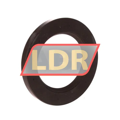 Chicago Rawhide Ltd CR65X100X10HMS4V