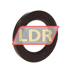 Chicago Rawhide Ltd CR65X100X10HMS4V