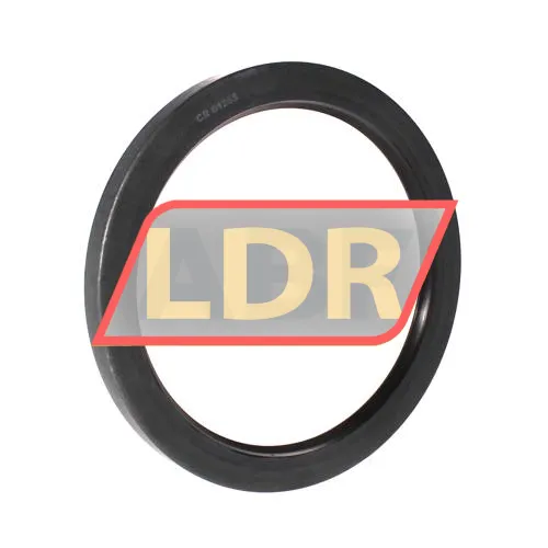 SKF CR61255