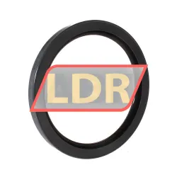 SKF CR61255 rulman resim 2
