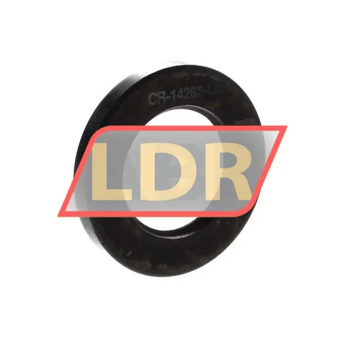 SKF CR14282