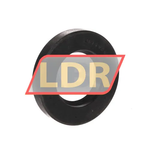 Chicago Rawhide Ltd CR34X62X10HMS5RG
