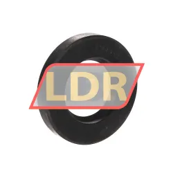 Chicago Rawhide Ltd CR34X62X10HMS5RG