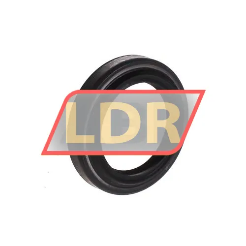 SKF CR21244