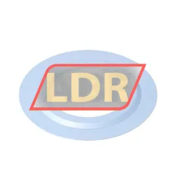 Neutral NIL6308JV rulman resim 2