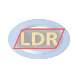 Neutral NIL6208JV rulman resim 2
