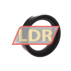 NAK Sealing Technologies SC36X48X10 rulman resim 2