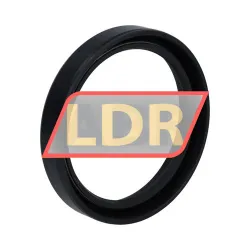 NAK Sealing Technologies SC60X75X12 rulman resim 2