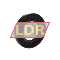 NAK Sealing Technologies SC30X55X6 rulman resim 2