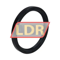 Chicago Rawhide Ltd CR75X90X10HMS4R
