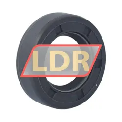 SKF 20X35X10HMS5RG