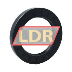 NAK Sealing Technologies SC70X105X13