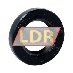 NAK Sealing Technologies SC22X38X7