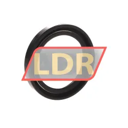 NAK Sealing Technologies SC41X56X8 rulman resim 2
