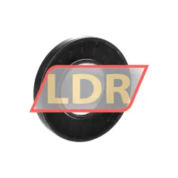 NAK Sealing Technologies SC38X74X10 rulman resim 2