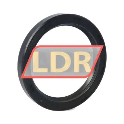NAK Sealing Technologies SC60X78X9