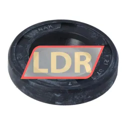 NAK Sealing Technologies SC21X37X7