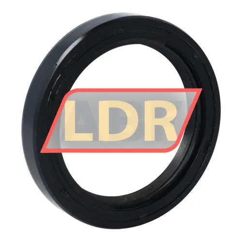 NAK Sealing Technologies SC52X69X10
