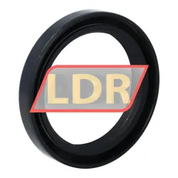 NAK Sealing Technologies SC52X69X10 rulman resim 2