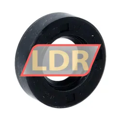 NAK Sealing Technologies SC13X25X7