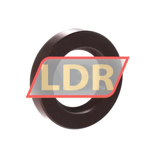 NAK Sealing Technologies SF40X65X12