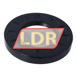 NAK Sealing Technologies SC55X100X13