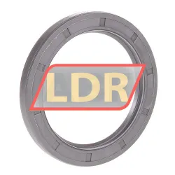 SKF 75X100X10HMS5RG