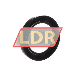 NAK Sealing Technologies SC42X62X7 rulman resim 2