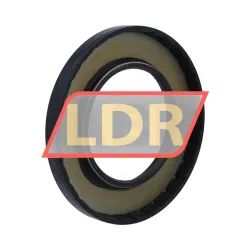NAK Sealing Technologies SC70X120X12 rulman resim 2