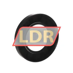 NAK Sealing Technologies SC48X75X10 rulman resim 2