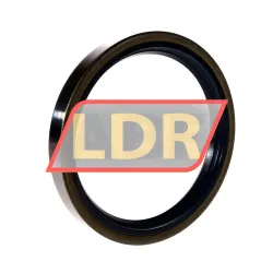 SKF CR88X110X13CRSH1R rulman resim 2