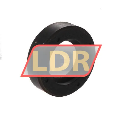 Chicago Rawhide Ltd CR20X35X10HMS4R