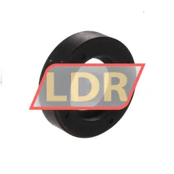 Chicago Rawhide Ltd CR20X35X10HMS4R