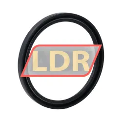 NAK Sealing Technologies SC50X95X8 rulman resim 2