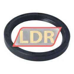 TTO Oil seals SC68X85X10