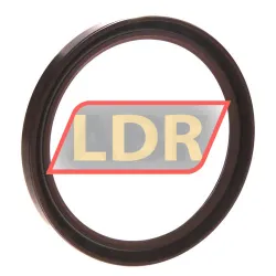 TTO Oil seals SC95X115X13 rulman resim 2