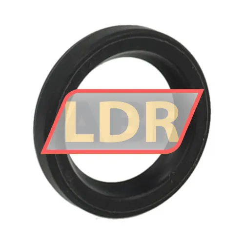 TTO Oil seals SC16X22X4