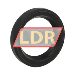 TTO Oil seals SC16X22X4