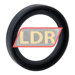 TTO Oil seals SC44X60X10 rulman resim 2