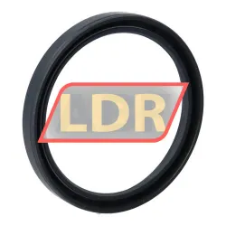 TTO Oil seals SC60X72X8 rulman resim 2