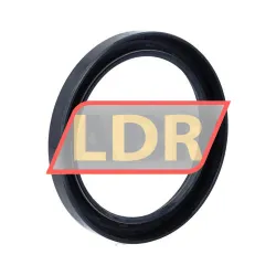 SKF CR82X105X12HMS4R rulman resim 2