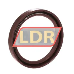 NAK Sealing Technologies SC60X75X10 rulman resim 2