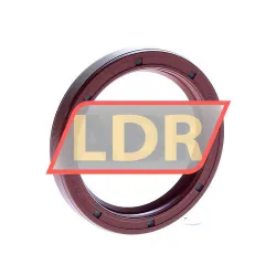 SKF CR55X72X10HMS5V