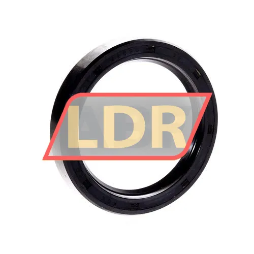 Chicago Rawhide Ltd CR60X80X13HMS4R