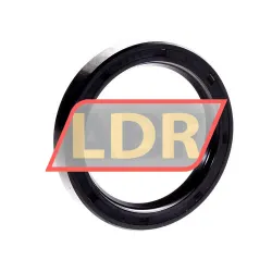 Chicago Rawhide Ltd CR60X80X13HMS4R