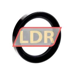 Chicago Rawhide Ltd CR60X80X13HMS4R rulman resim 2