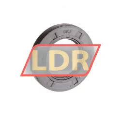 SKF 25X42X6HMSA10RG