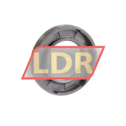 SKF 25X42X6HMSA10RG rulman resim 2