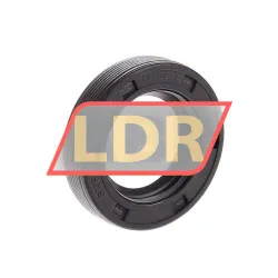 SKF CR19X32X7HMS5RG
