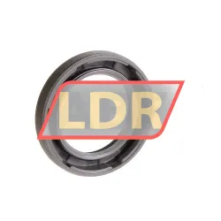 SKF 25X37X6HMSA10RG rulman resim 2